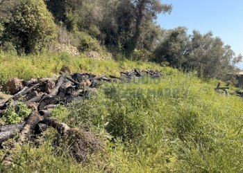5.JPG - Building land Via Borgo, Terzorio - photo 5