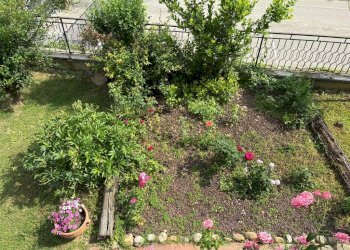 Independent house Tonco - photo 8