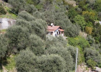 Rustic Corso Italia, Camporosso - photo 7