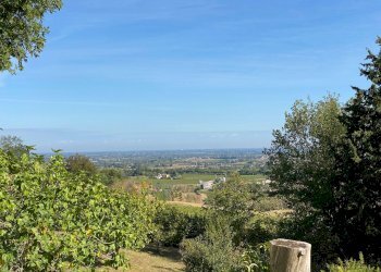 Foto 34 - Villa Via Ciola, Castrocaro Terme e Terra del Sole - foto 34