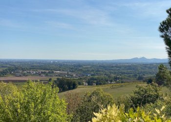Foto 37 - Villa Via Ciola, Castrocaro Terme e Terra del Sole - foto 37
