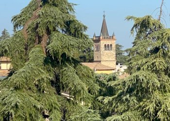 Foto 40 - Apartment Via Caumont Caimi, Felino - photo 40