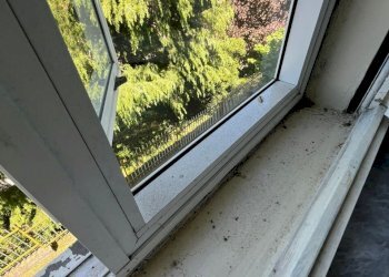 1.jpeg - Villa Via Reano, Rivoli - foto 30