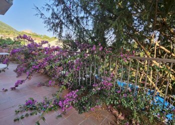 IMG-20260426-WA0047.jpg - Villa Via Casa Russo 25, Salerno - foto 1