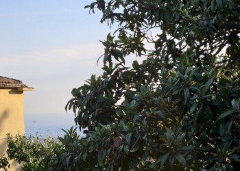 IMG-20260426-WA0039.jpg - Villa Via Casa Russo 25, Salerno - foto 5