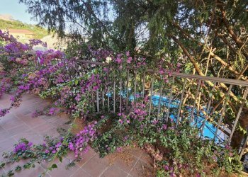 IMG-20260426-WA0048.jpg - Villa Via Casa Russo 25, Salerno - foto 6