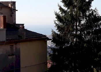 20181114_095304.jpg - Villa Via Casa Russo 25, Salerno - photo 13