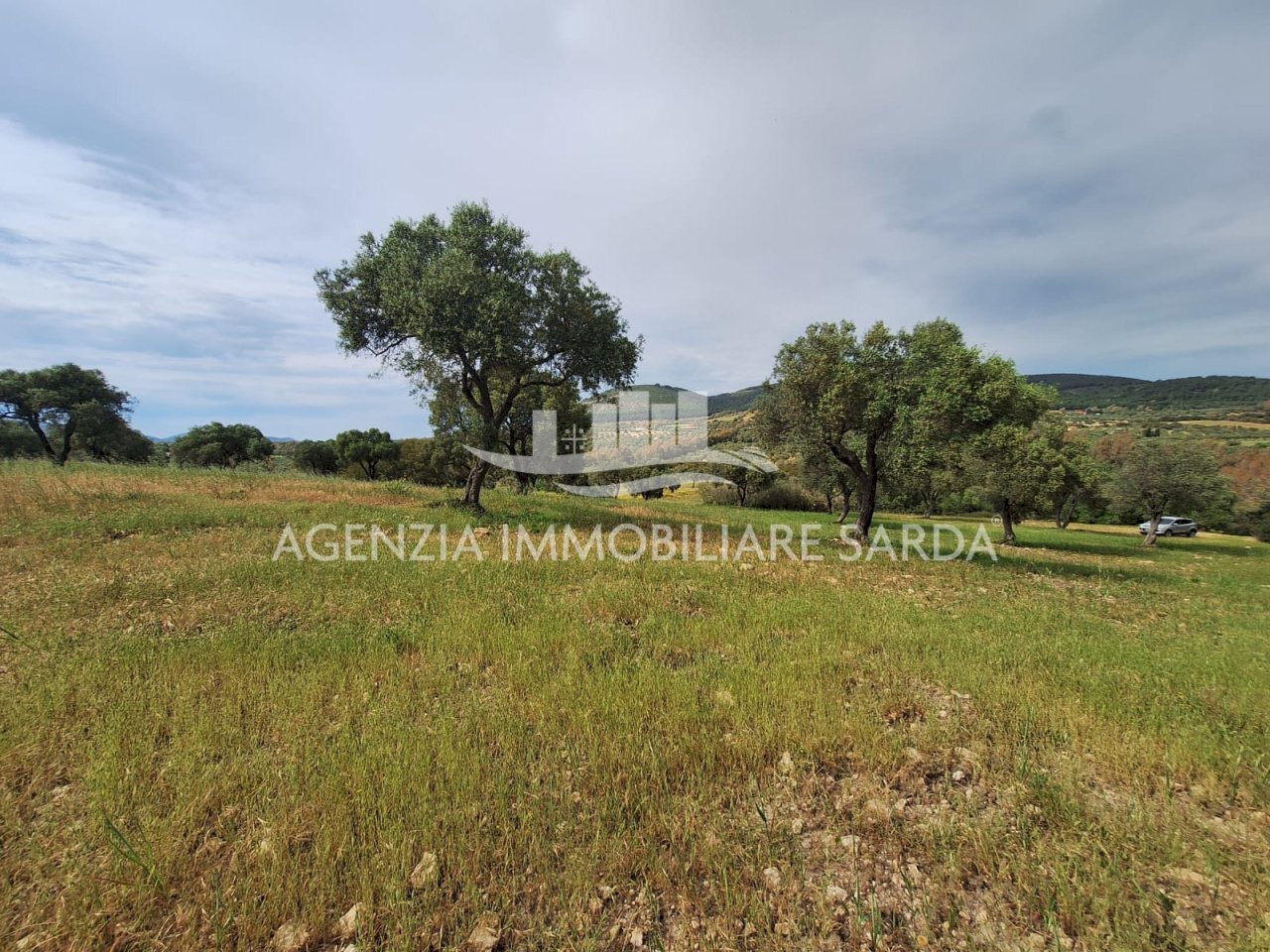 WhatsApp Image 2026-04-26 at 14.28.36.jpeg - Terreno edificabile Alghero - foto 1