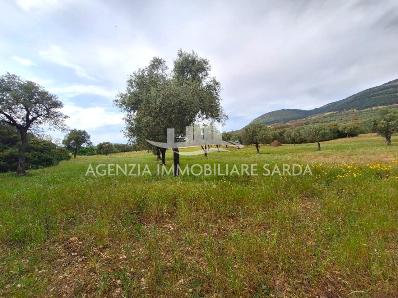 WhatsApp Image 2026-04-26 at 14.28.31.jpeg - Terreno edificabile Alghero - foto 3