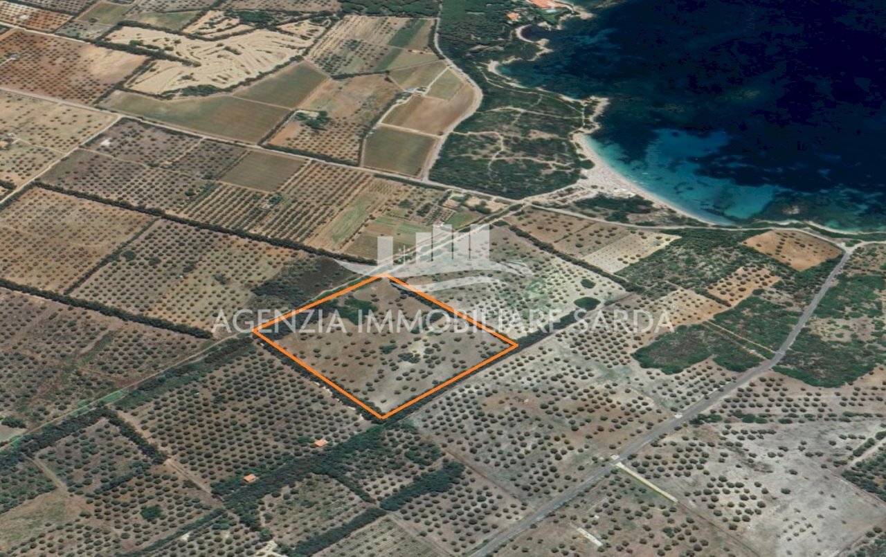 confini.jpg - Terreno edificabile Alghero - planimetria 1