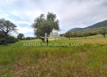 WhatsApp Image 2026-04-26 at 14.28.31.jpeg - Terreno edificabile Alghero - foto 3