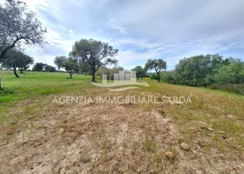 WhatsApp Image 2026-04-26 at 14.28.33.jpeg - Terreno edificabile Alghero - foto 4