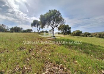 WhatsApp Image 2026-04-26 at 14.28.34.jpeg - Terreno edificabile Alghero - foto 5