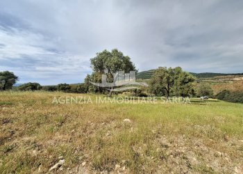 WhatsApp Image 2026-04-26 at 14.28.43 (1).jpeg - Terreno edificabile Alghero - foto 7