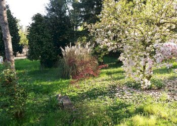 Quadrilocale Strada Vandelli, frazione Montale, Castelnuovo Rangone - foto 10