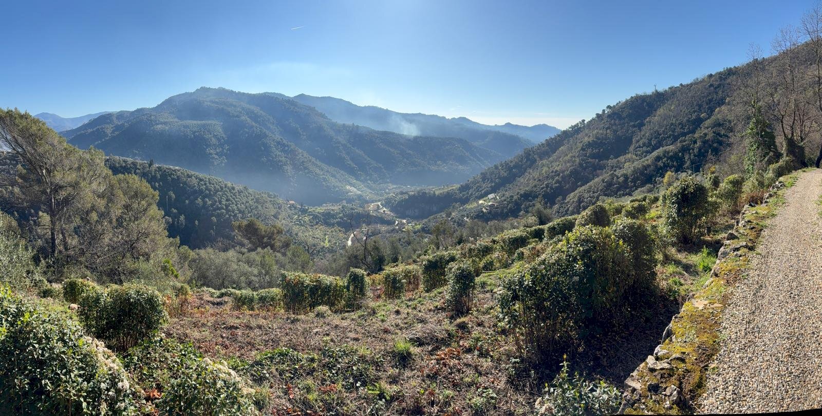 Building land strada provinciale 70, snc, Dolceacqua - photo 3