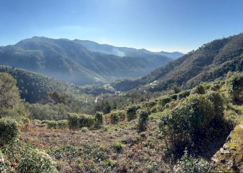 Building land strada provinciale 70, snc, Dolceacqua - photo 3
