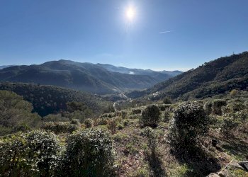 Building land strada provinciale 70, snc, Dolceacqua - photo 5