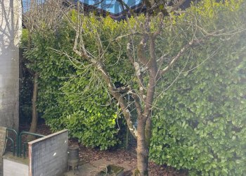 Stabile - Palazzo via vittorio veneto, 91 
 Arona, Arona - foto 24