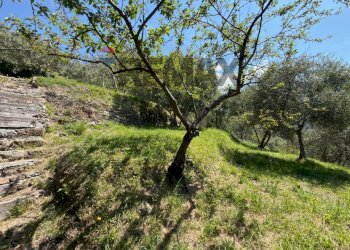 Casa semi indipendente Missano, Castiglione Chiavarese, Castiglione Chiavarese - foto 33