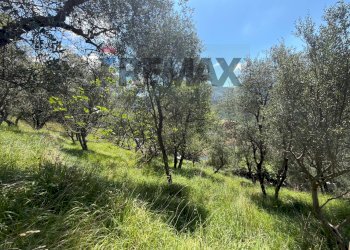 Casa semi indipendente Missano, Castiglione Chiavarese, Castiglione Chiavarese - foto 39