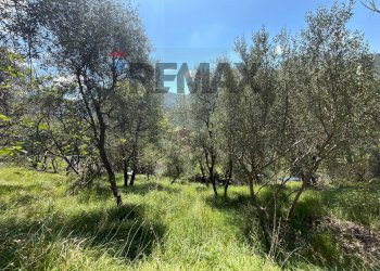 Casa semi indipendente Missano, Castiglione Chiavarese, Castiglione Chiavarese - foto 40