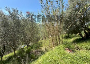 Casa semi indipendente Missano, Castiglione Chiavarese, Castiglione Chiavarese - foto 41