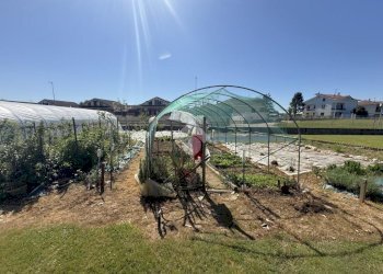 Appartamento Via carmagnola, Pralormo - foto 31