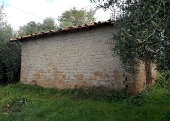 Foto 2 - Terreno agricolo VIA DELLE GINESTRE, Cisterna di Latina - foto 2