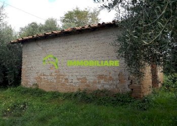 Foto 7 - Terreno agricolo VIA DELLE GINESTRE, Cisterna di Latina - foto 7