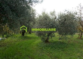 Foto 12 - Terreno agricolo VIA DELLE GINESTRE, Cisterna di Latina - foto 12