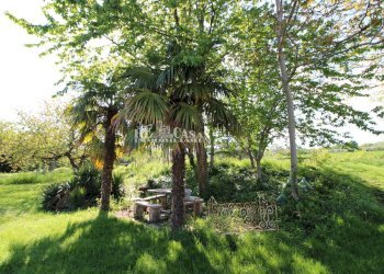 Foto 5 - Rustico contrada torbitello, Rotella - foto 5