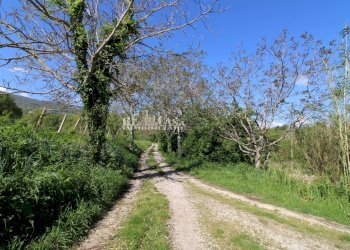 Foto 11 - Rustico contrada torbitello, Rotella - foto 11