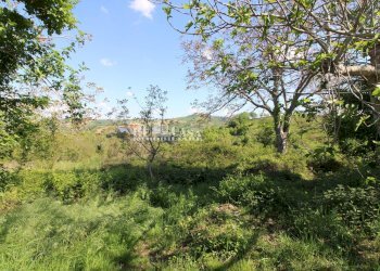 Foto 64 - Rustico contrada torbitello, Rotella - foto 64