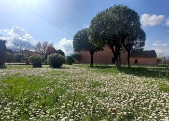 Foto 10 - Villa Via Fosso Del Lupo, Anagni - photo 10