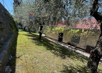 Giardino - Villa Brenzone sul Garda - foto 37