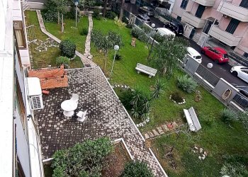 Edificio all\'aperto - Three-room apartment Via Alassio
 
4, Modugno - photo 17