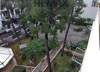 Edificio all\'aperto - Three-room apartment Via Alassio
 
4, Modugno - photo 18