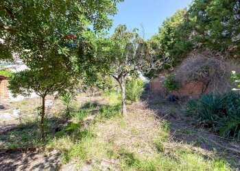 Giardino - Casa indipendente Via S. Antonio
 
65, Villafranca Tirrena - foto 21
