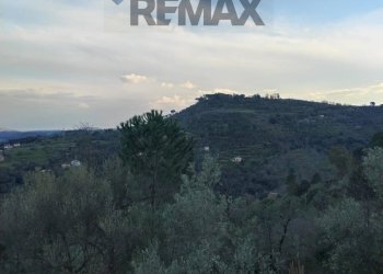 Vista delle montagne - Villa Contrada Piano Marino
 
snc, Piazza Armerina - foto 12