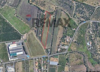 Posizione della mappa - Agricultural land SP15 & SP135
 
snc, Belpasso - photo 7
