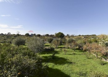 Giardino - Villa Via Croce Del Sud
 
2, Catania - foto 23