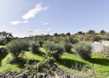 Giardino - Villa Via Croce Del Sud
 
2, Catania - foto 24