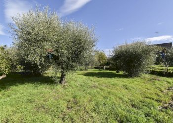 Giardino - Villa Via Croce Del Sud
 
2, Catania - foto 25