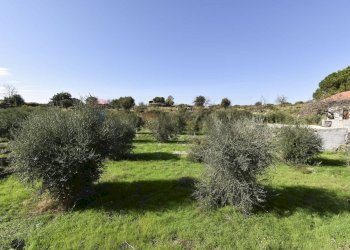 Giardino - Villa Via Croce Del Sud
 
2, Catania - foto 26