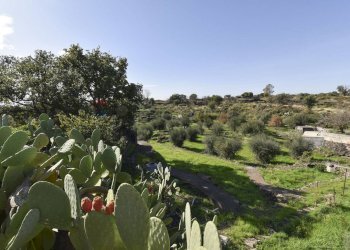 Giardino - Villa Via Croce Del Sud
 
2, Catania - foto 30