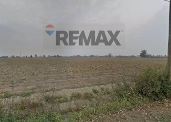 Vista dell\'acqua - Terreno agricolo via Ronchi
 
3, Rivarolo del Re ed Uniti - foto 2