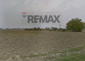 Stanza vuota - Terreno agricolo via Ronchi
 
3, Rivarolo del Re ed Uniti - foto 4