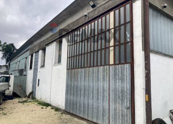 esterno - Capannone Via Veneto
 
660, Casale di Scodosia - foto 10