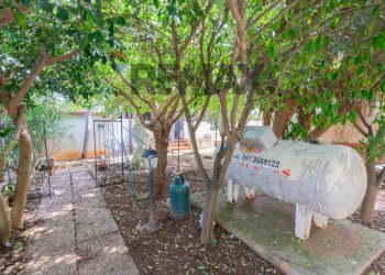 Giardino - Villa VIA PITEA DA MARSIGLIA
 
56, Palermo - foto 11